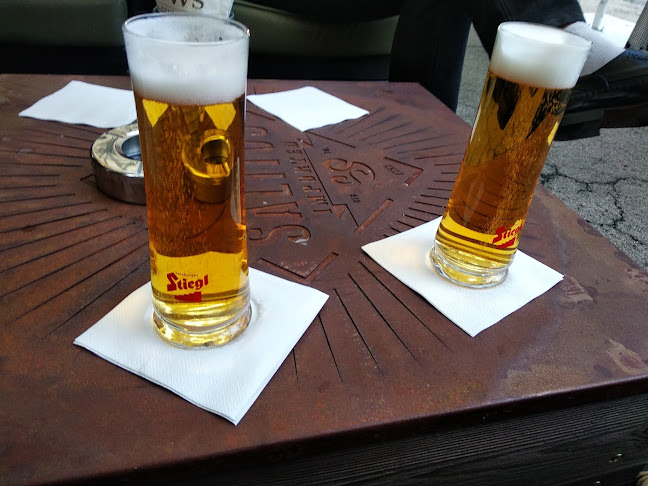 Comentarii opinii despre Monkeys University