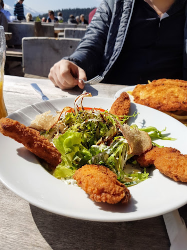 Wochenbrunner Alm - Gastronomie und Hotellerie