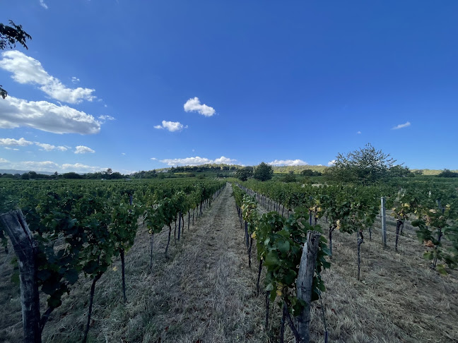 Gasthaus Stotzek - Gastronomie und Hotellerie