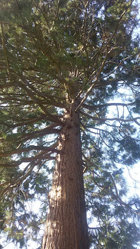 Opinii despre HERMES Café Restaurant Labstelle în Wien - Gastronomie und Hotellerie