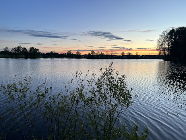 Opinii despre Das Lokal am Teich în Hirschbach - Gastronomie und Hotellerie