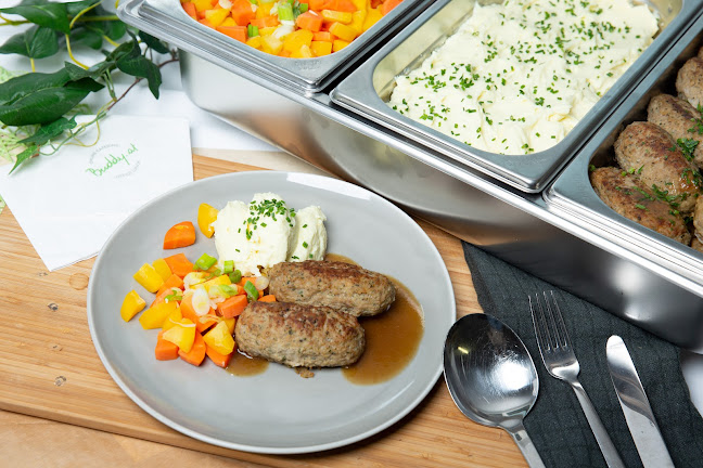 Comentarii opinii despre Buddy.at