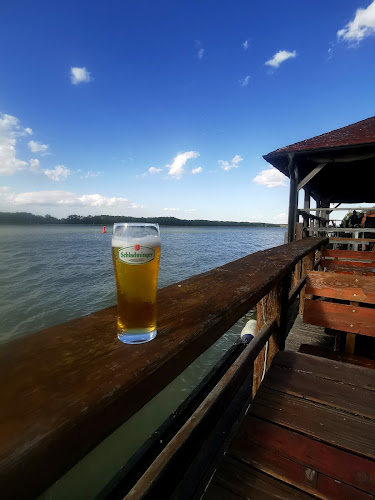 Wasserskischule Riess & Partner OEG - St. Andrä-Wördern