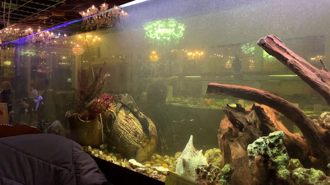 Dschunke - Asiatisches All you can eat Buffet / A la carte