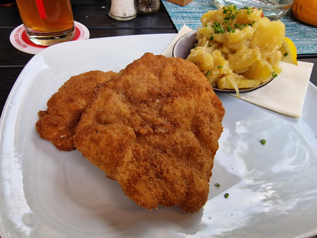 Comentarii opinii despre Panima