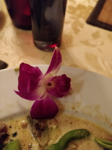 Bangkok Vienna - Wien