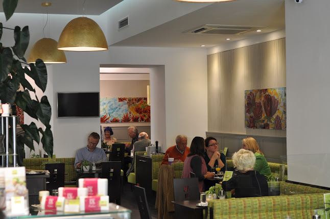 Herwig Gasser "Süßes vom Feinsten" 2500 Baden - Gastronomie und Hotellerie