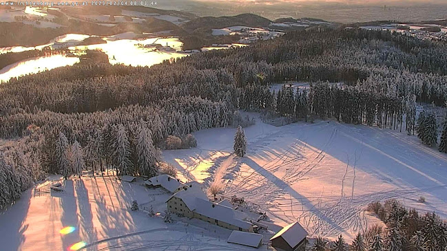 Auf der Gis 1, 4040 Lichtenberg