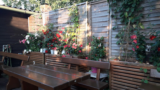 Woodys Waldheuriger - Langenzersdorf