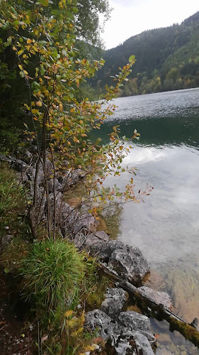 Opinii despre Leopoldsteinersee Gastro Betriebs KG Strandbuffet în Eisenerz - Gastronomie und Hotellerie