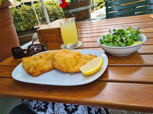 Comentarii opinii despre Figls