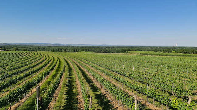 Weingut Dockner Josef - Krems an der Donau