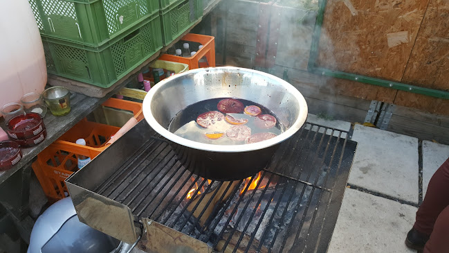 Opinii despre Mohrenberger Alm 2 în Perchtoldsdorf - Gastronomie und Hotellerie