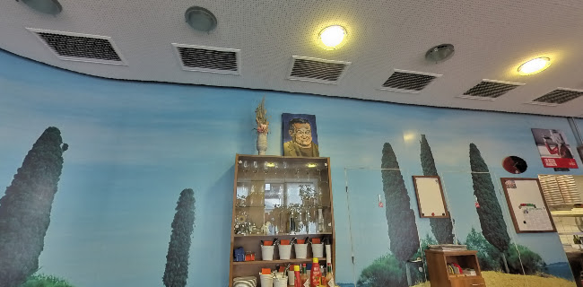 Ristorante Pizza-Taxi Silvia Homer