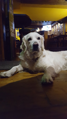 Beethovenstraße 9a, 8010 Graz