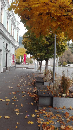 Franz Josef-Straße 25, 8700 Leoben