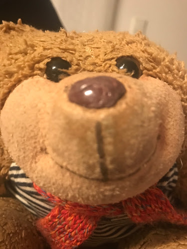 Harry Bär - Gastronomie und Hotellerie