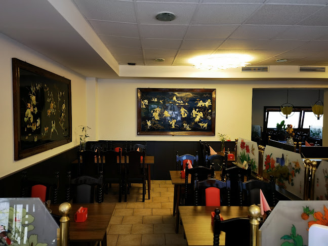 Opinii despre Asia Cuisine LOTUS Mittersill în Mittersill - Gastronomie und Hotellerie