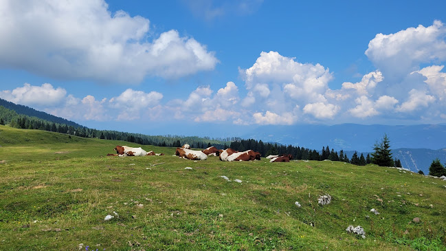 Villacher Alpenstraße 115, 9500 Villach