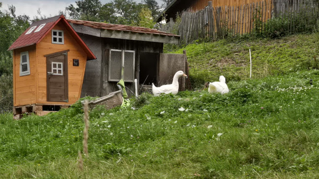 Bänkle am Stieg bi dr Alma - Jausenstation
