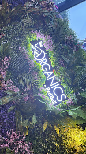 Comentarii opinii despre Garden22