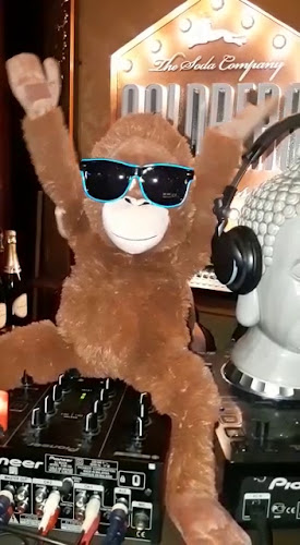 Comentarii opinii despre Monkeys University