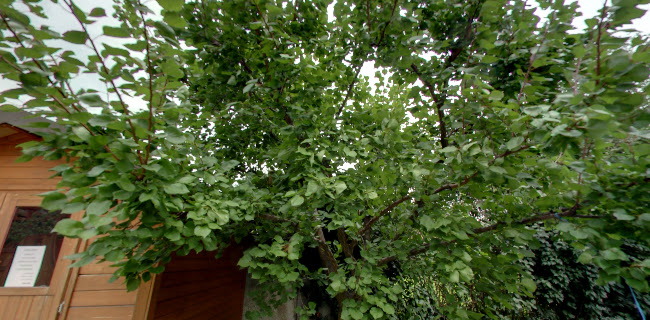 Mittergasse 5, 3620 Spitz