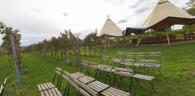 Opinii despre Franz von Grün în Arbesthal - Gastronomie und Hotellerie