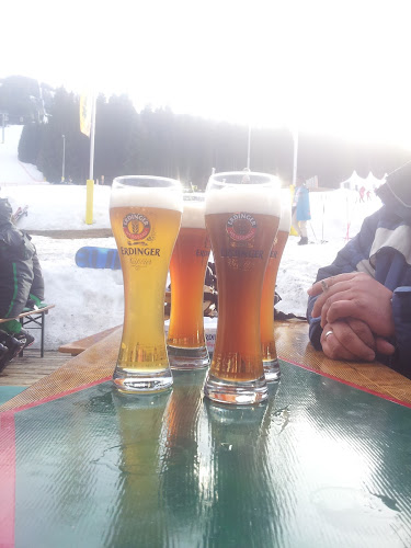 Rohrmoosstraße 208, 8971 Schladming