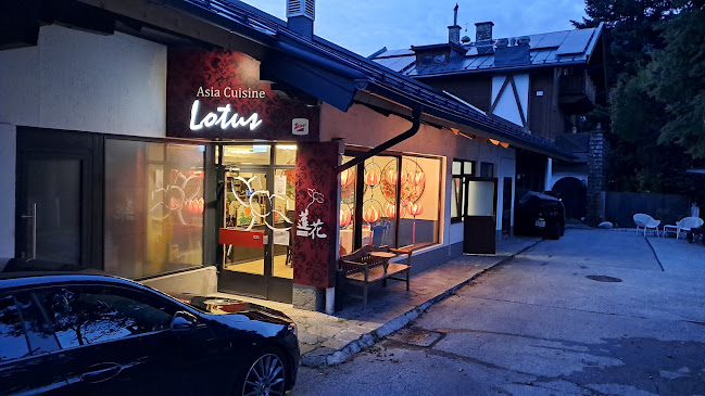 Asia Cuisine LOTUS Mittersill
