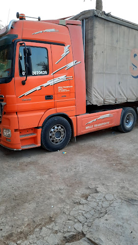 Graf 145, 6500 Grins