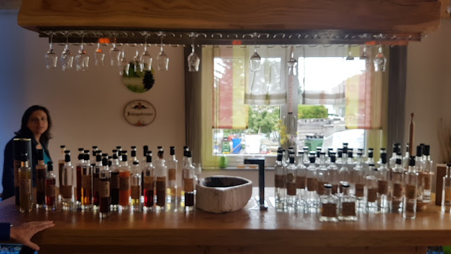 Hollenbach 117, 3830 Hollenbach