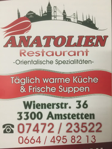 Comentarii opinii despre Anatolien Restaurant