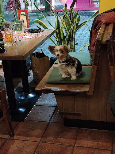 Bier & Bier - Gastronomie und Hotellerie