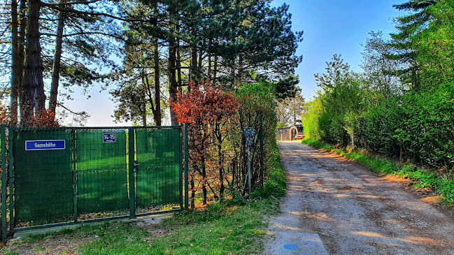 Woodys Waldheuriger - Langenzersdorf