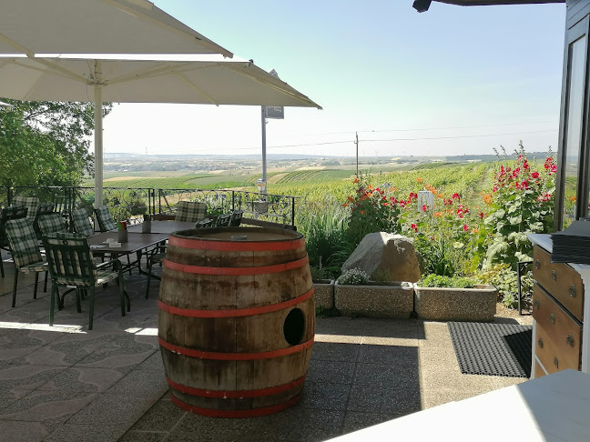 Am Steinberg 1, 2225 Zistersdorf