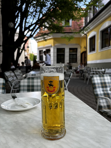 Comentarii opinii despre Haydnbräu