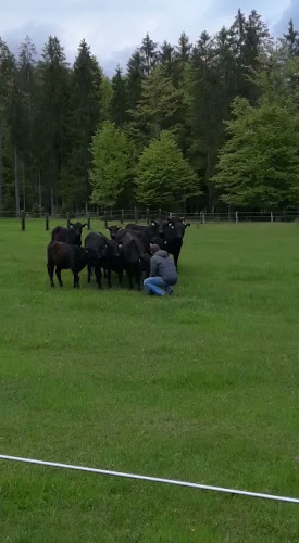 Juffinger's Gaumenwerk