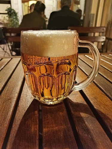 Comentarii opinii despre Plutzer Bräu