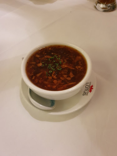 Comentarii opinii despre LOTUS Chinarestaurant