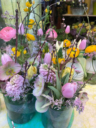 Comentarii opinii despre Blumen Helga