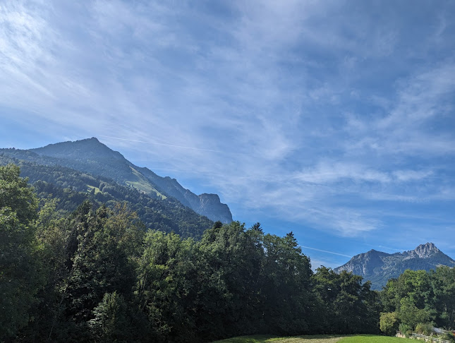 Alpe Gaudenza - Gastronomie und Hotellerie