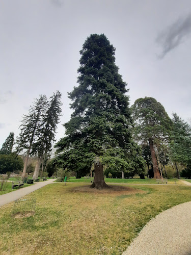 HERMES Café Restaurant Labstelle - Wien