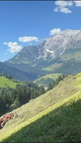 Gasthaus /Jausenstation Pauss Bauer