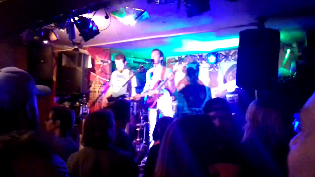 Comentarii opinii despre Shamrock