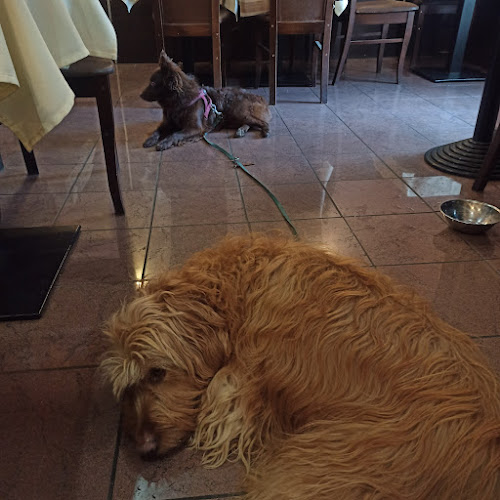 Comentarii opinii despre Jo's Restaurant und Bar