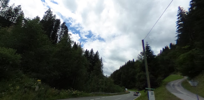 Opinii despre Floitensberg 1 în Floitensberg - Gastronomie und Hotellerie