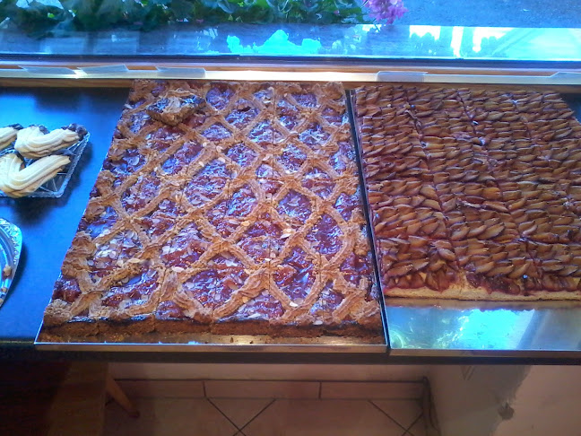 Opinii despre Bäckerei Holzmayr în Vils - Gastronomie und Hotellerie