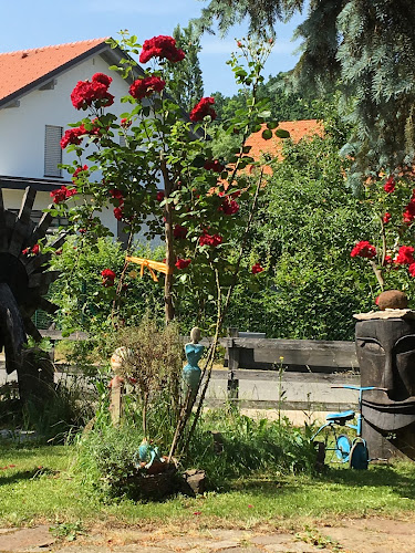 Opinii despre Kaffeehaus Zum Venezianer în Stainz - Gastronomie und Hotellerie