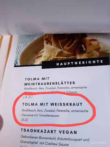 Opinii despre Lavash - Der Geschmack von Armenien în Wien - Gastronomie und Hotellerie